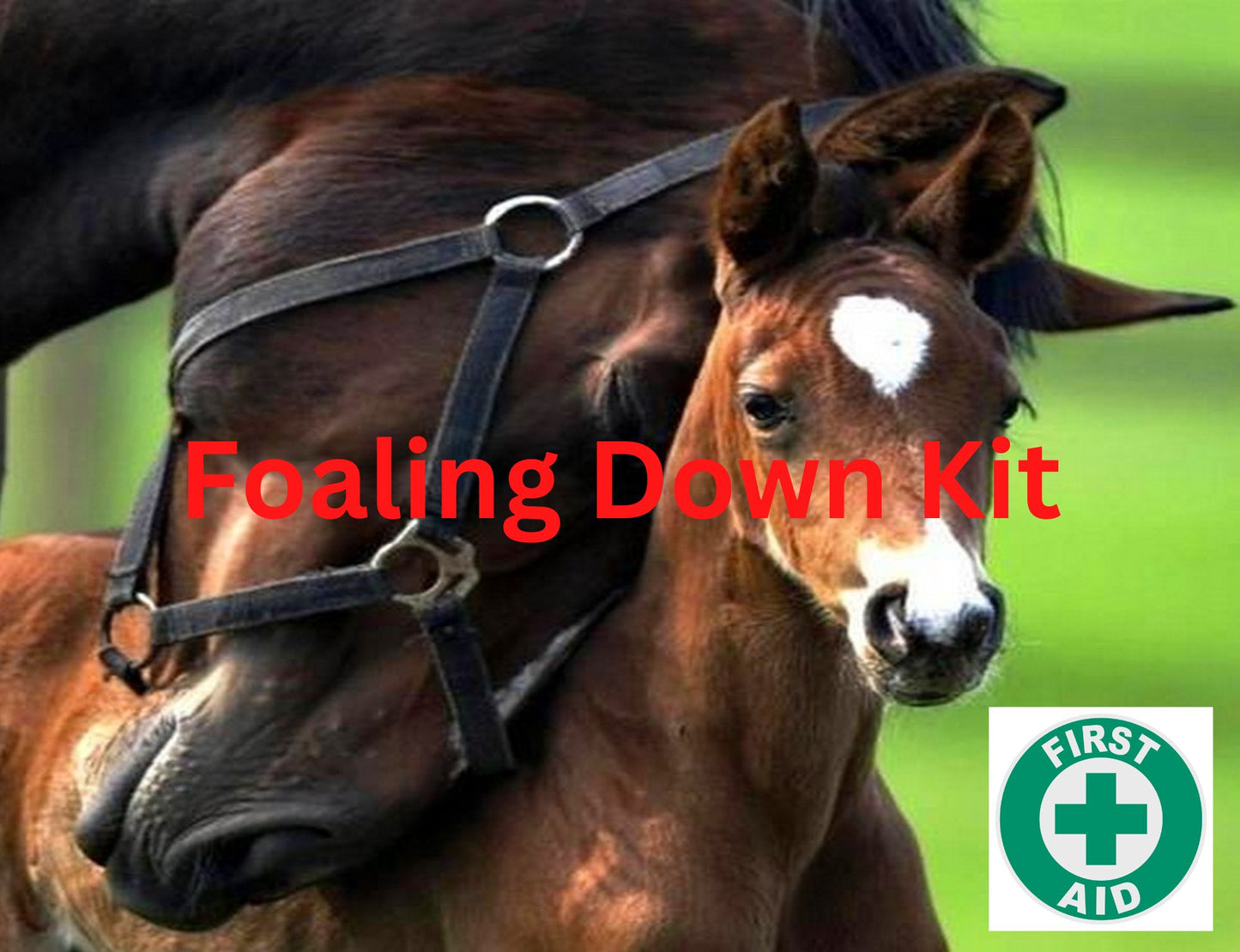 Foaling Down Kit